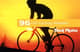 96 Cycling Expedition Series - Dynamic Outdoor Sports Photography for Adventure Enthusiasts and Creators 3