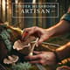 Tinder Mushroom Artisan - Cinematic Nature Stock Video for Wildlife and Environmental Storytelling 5