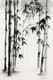 Bamboo Forest Ink Painting - Elegant Traditional Ink Art for Serene Décor and Creative Inspiration 6