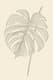 Minimalist Botanical Line Drawing - Wall Art - Elegant Botanical Line Art for Modern Home and Office Decor 5