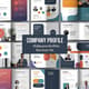 Company Profile Templates - Multipurpose Brochure Set - Versatile Marketing Brochures for Professional Branding and Business Growth 3
