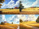 Amber Waves - Rural Harvest Landscape - Digital Realistic Environment Art for Creative Projects and Visual Storytelling 5