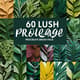 60 Lush Foliage Procreate Brush Pack - Premium Botanical Brushes for Creative Digital Artists and Illustrators 4