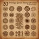 20 Vintage Grain Stamp Brushes Procreate - Premium Retro Texture Brushes for Creative Designers & Artists 3