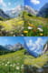 Alpine Meadow Wall Art - Serene Landscape Canvas for Tranquil Home & Office Decor 4