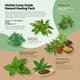 Herbal Cures Guide Natural Healing Pack - Holistic Health & Self-Defence E-Book for Wellness Enthusiasts 1