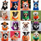 Halloween Costumes for Pets Cute & Creative Outfit Ideas - Adorable Pet Costume Inspiration for Fun and Festive Celebrations 5