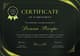 Luxury Achievement Certificate Black Gold Design - Elegant Editable Templates for Professional Recognition and Training Awards 4