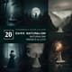 20 Dark Naturalism Presets & LUTs - Cinematic Photo Editing Presets for Moody, Authentic Visuals 6