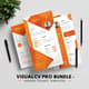 VisualCV Pro Bundle - Orange Templates - Professional Business Resume Designs for Modern Career Growth 4