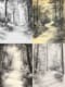 Tranquil Forest Path Sketch Art - Serene Hand-Drawn Nature Sketches for Timeless Artistic Projects 5
