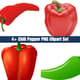 4+ Chili Pepper PNG Clipart Set - Vibrant Food & Beverage Illustrations for Designers and Creators 3