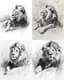 Resting Lion Pencil Sketch Art - Timeless Hand-Drawn Wildlife Sketch for Artists and Nature Enthusiasts 1