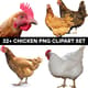 32+ Chicken PNG Clipart Set - Vibrant Animal Illustrations for Creative Projects and Educational Use 3