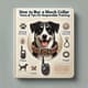 How to Buy a Shock Collar Tools & Tips for Responsible Training - Practical Guide for Pet Owners and Trainers 4