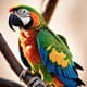 Colorful Parrot Close Up - Vibrant Wildlife Stock Video for Nature Documentaries and Creative Media 1