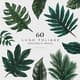 60 Lush Foliage Procreate Brush Pack - Premium Botanical Brushes for Creative Digital Artists and Illustrators 5