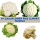 8+ Cauliflower PNG Clipart Bundle - Vibrant Food Illustrations for Creative Projects and Branding 3
