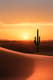 Desert Landscape Dramatic Natural Scene - Cinematic Photographic Wall Art for Inspiring Interiors and Creative Spaces 6