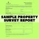 Sample Property Survey Report - Professional Real Estate Proposal Template for Commercial Success 3