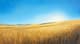 Summer Field View - Serene Landscape Art for Tranquil Decor and Creative Projects 6