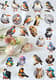 Winged Wonders Bird Pack - Premium Animal Sticker Collection for Creative Projects & Personalization 6