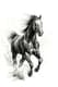 Majestic Galloping Horse Sketch - Classic Hand-Drawn Artwork for Timeless Artistic Creations 5