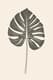 Minimalist Botanical Line Drawing - Wall Art - Elegant Botanical Line Art for Modern Home and Office Decor 6