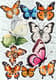 Flutter Magic Butterfly Set - Vibrant Animal & Pet Stickers for Creative Projects and Personal Expression 1