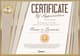 100+ Modern & Classic Certificates - CDR Format - Versatile Editable Certificate Templates for Professional and Personal Use 4