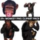 29+ Monkey PNG Clipart Pack - Vibrant Wildlife Vector Illustrations for Creative Projects and Branding 1