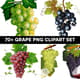 70+ Grape PNG Clipart Set - Vibrant Food & Beverage Illustrations for Creative Projects and Branding 3