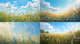 Sun-Drenched Meadow - Serene Summer Landscape Art for Tranquil Home and Office Decor 5