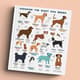 How to Choose a Dog Find the Perfect Breed for You - Practical Guide for Selecting Your Ideal Canine Companion 6