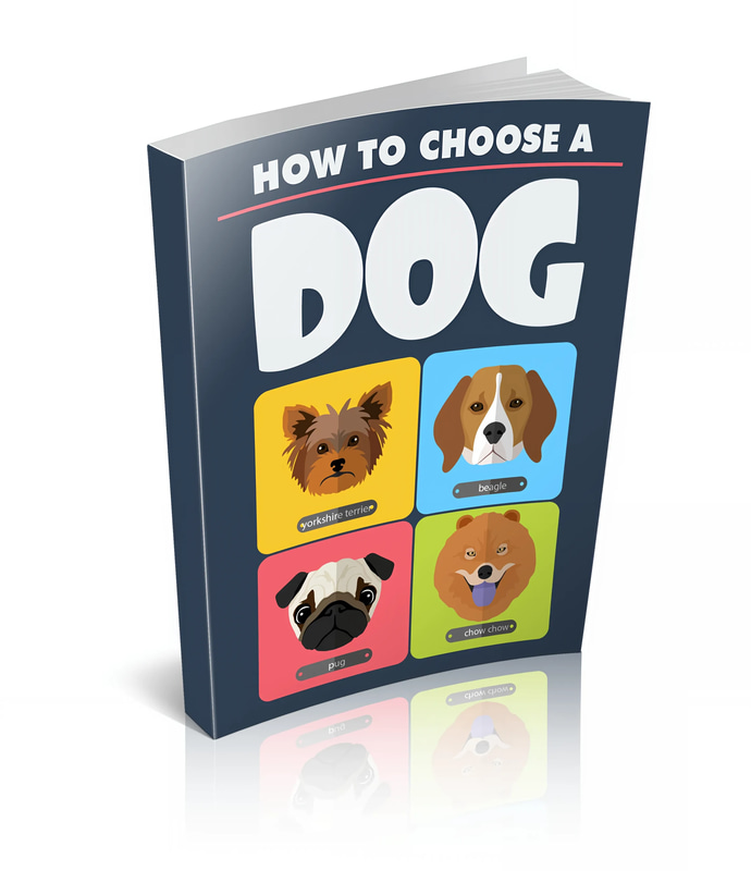 How to Choose a Dog Find the Perfect Breed for You - Practical Guide for Selecting Your Ideal Canine Companion
