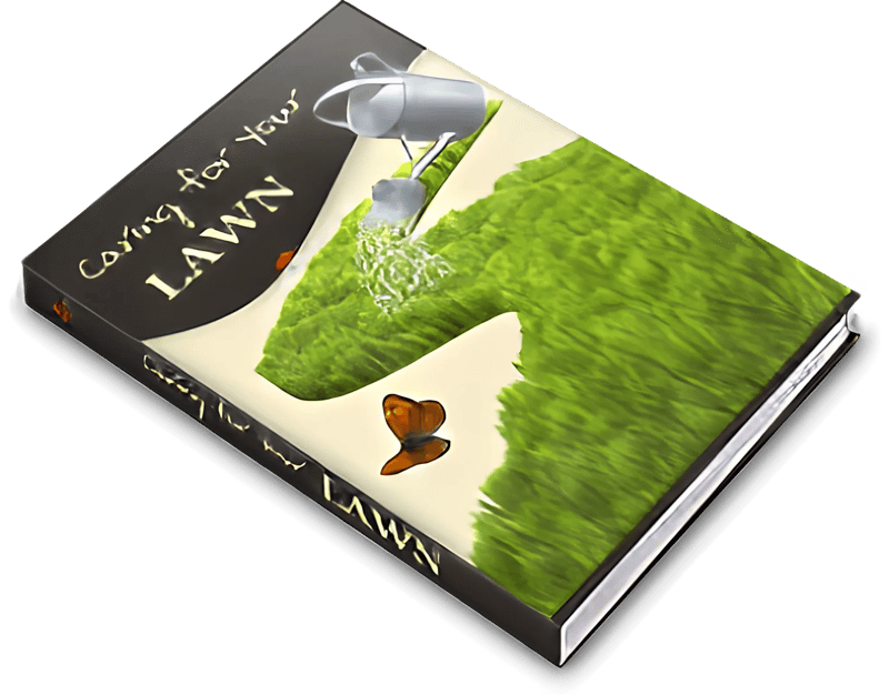 Lawn Care Essentials - Yard Maintenance 101 - Comprehensive Guide for Homeowners and DIY Enthusiasts