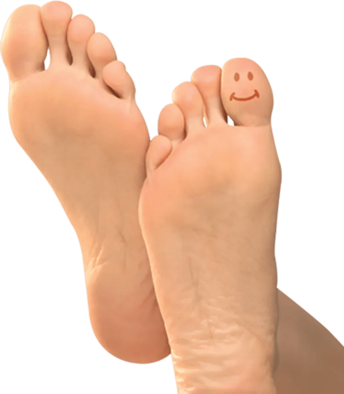 45+ Human Leg PNG Clipart Set - Versatile Mixed Object Illustrations for Designers and Creators