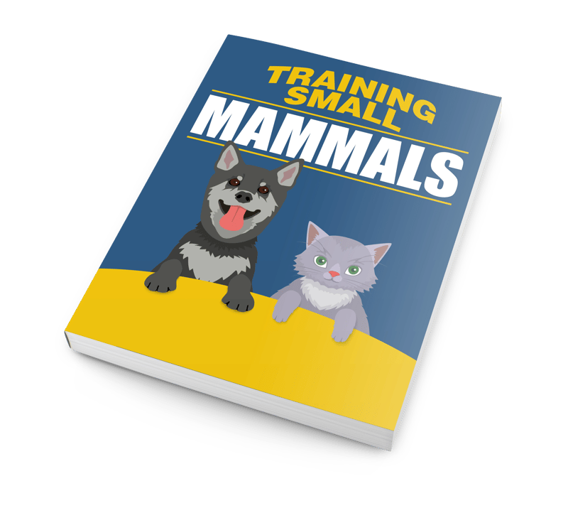 Training Small Mammals Behavior Tips for Hamsters Rats More - Practical Guide for Pet Owners and Animal Enthusiasts