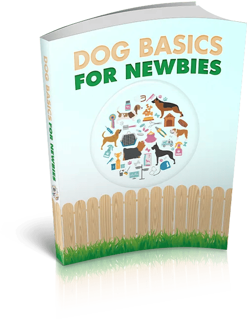 Dog Training for Newbies Basics Tips & Techniques - Practical Guide to Effective Canine Training for New Pet Owners
