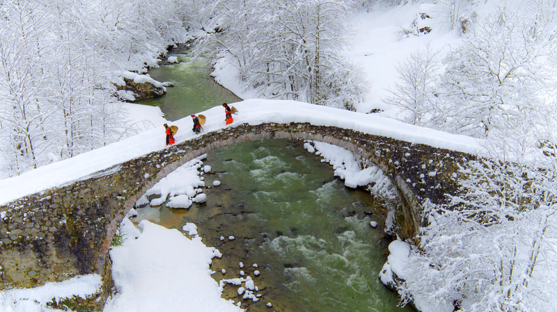 25 Organic Nature Essence Pack - Immersive Natural Stock Photos for Travel, Wildlife, and Scenic Projects