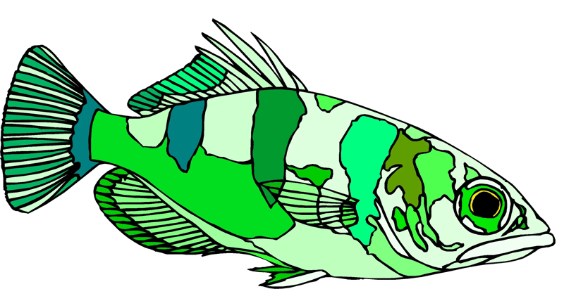 Ocean Fish Aquatic Clipart Set Vol2 - Vibrant Vector Wildlife Illustrations for Creative Designers and Digital Projects