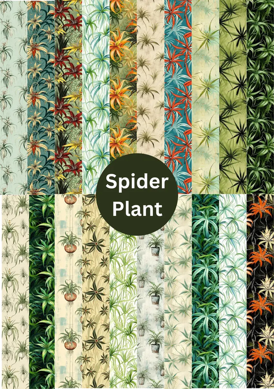 Spider Plant Boho Patterns - Bohemian Nature-Inspired Digital Prints for Creative and Personal Projects
