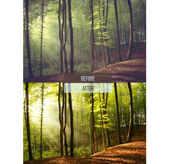 269 Landscape Lightroom Presets - Nature Pro Set - Professional Nature Lightroom Presets for Stunning Landscape Photography Enhancement