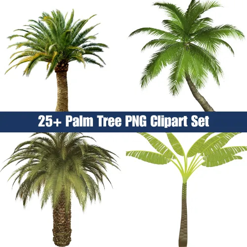 25+ Palm Tree PNG Clipart Set - Vibrant Nature & Landscape Illustrations for Creative Projects and Branding