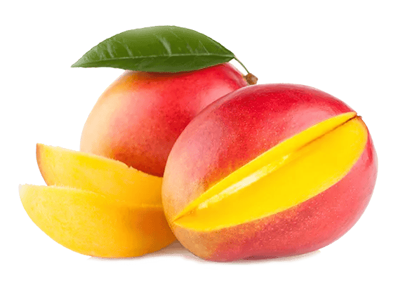 26+ Mango PNG Clipart Set - Vibrant Food Illustration Pack for Creative Branding and Digital Design