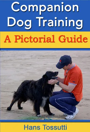 Companion Dog Training Obedience for Loyal Pets - Expert Guide for Effective Canine Behavior and Bonding