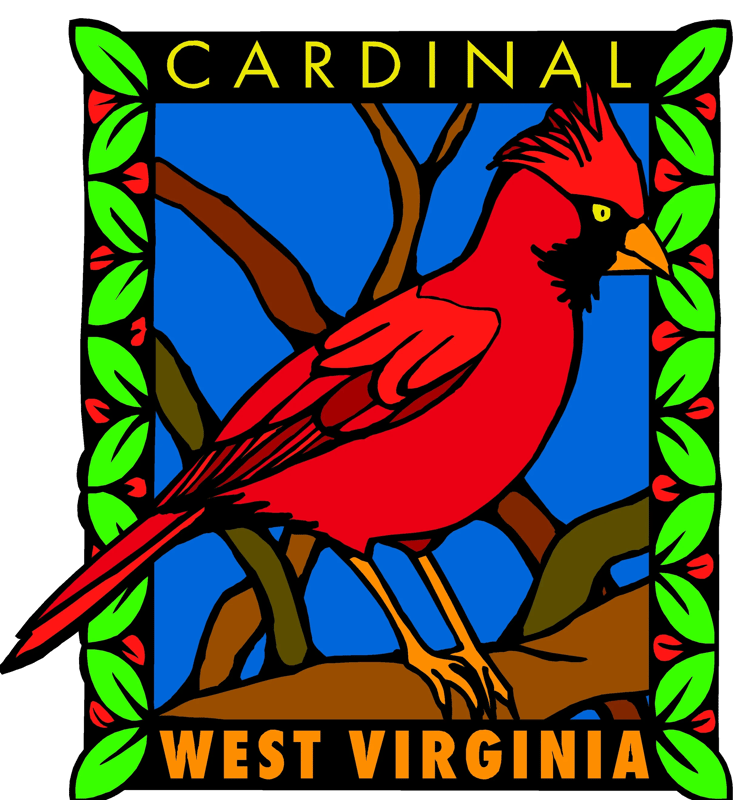 10 Cheerful Birds Avian Clipart Bundle Vol2 - Vibrant Wildlife Vector Illustrations for Designers & Creatives