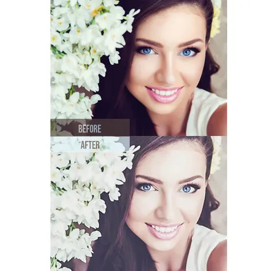 290 Matte Lightroom Presets - Smooth Artistic Tones for Photographers and Creators