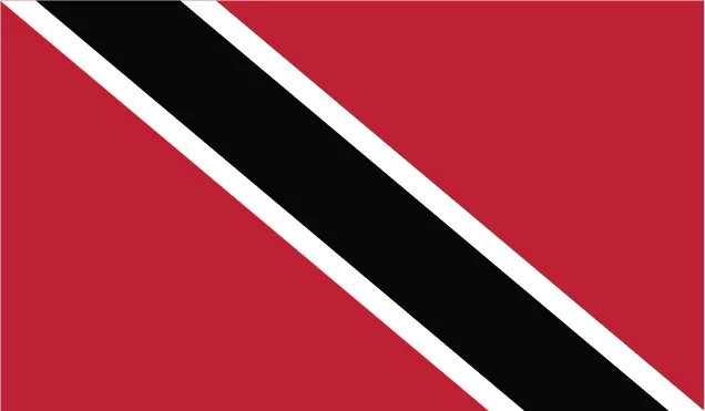 World Flags Icons - International Symbol Pack - Sleek Vector Icons for Global Projects and Multicultural Branding