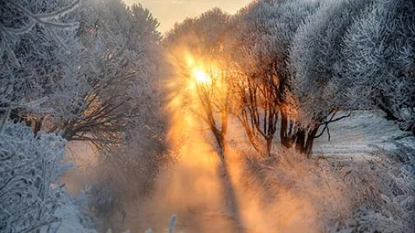 Sunbeam Light & Warmth Theme - Clean, Inviting PC Interface Skins for Enhanced User Experience